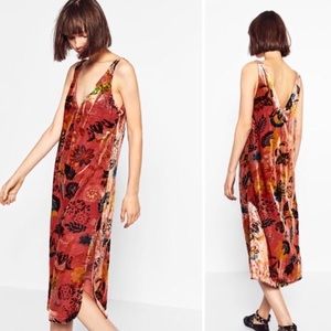 Zara Trafaluc Shift Dress